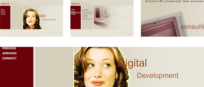 TripFlare Consulting